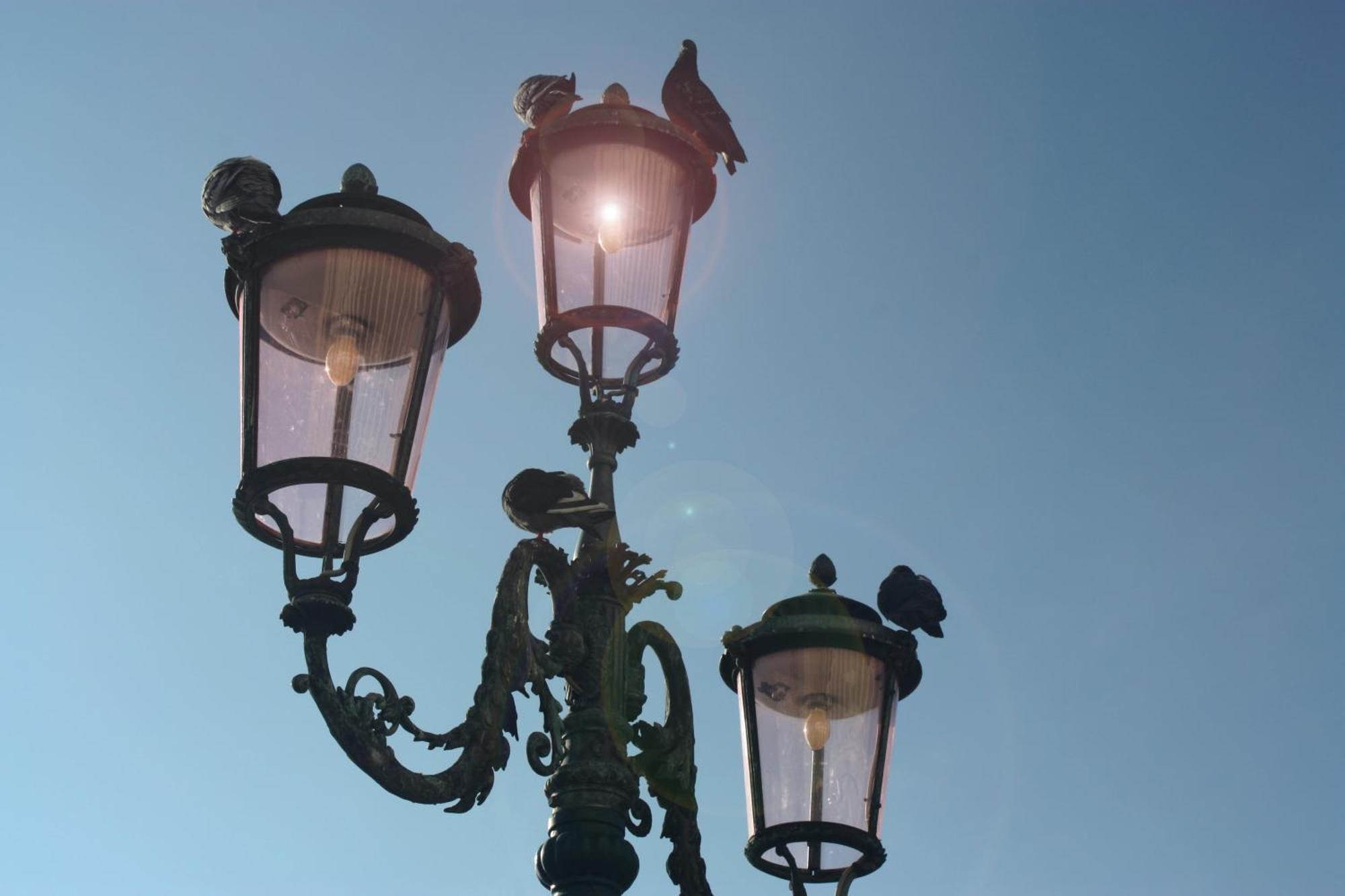 Luxhaven Venice Bed and breakfast